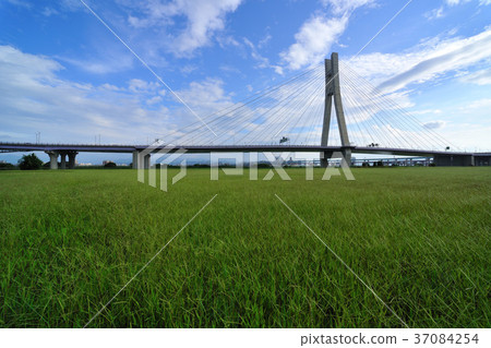 中華台北,台灣,新北市,新北大橋,路,天,雲,白天,公園,橋,草,城市,交通 37084254