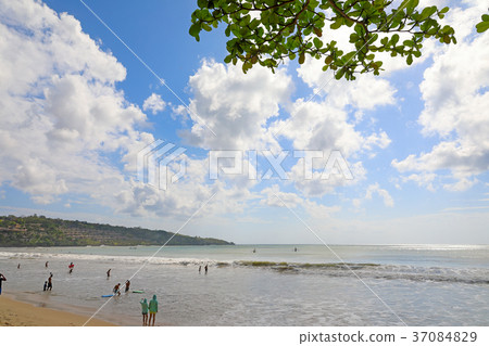 巴厘島 37084829