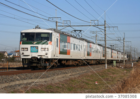 185系列早上好栃木縣。 2008/1/15 37085308