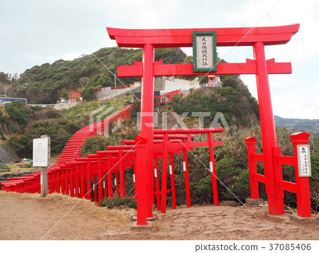 前Nogami Inage神社 前Nogami Inage神社 37085406