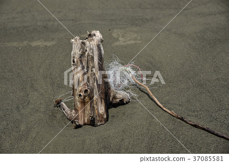 伴隨垃圾的漂流木 37085581