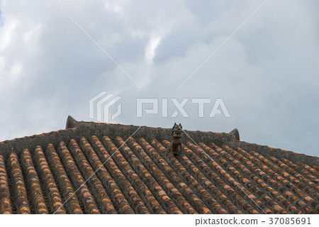 紅瓦屋頂的Shisa 37085691