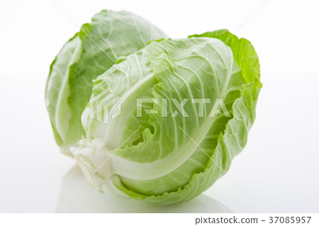  小菜心，小菜心，白菜心，白菜，白菜心，白菜， 37085957