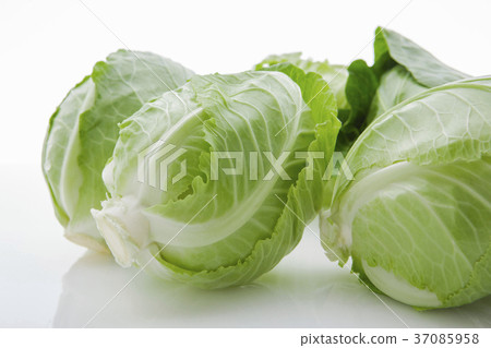  小菜心，小菜心，白菜心，白菜，白菜心，白菜， 37085958