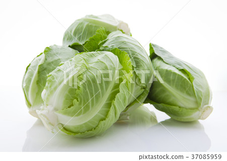  小菜心，小菜心，白菜心，白菜，白菜心，白菜， 37085959