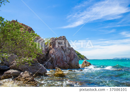 Beautiful rocky beach with tree by the sea. Beautiful rocky beach with tree by the sea. 37086101