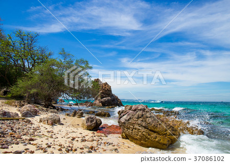 Beautiful rocky beach with tree by the sea. Beautiful rocky beach with tree by the sea. 37086102