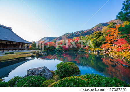 Autumn leaves of Kyoto Tenryu-ji Temple Autumn leaves of Kyoto Tenryu-ji Temple 37087261
