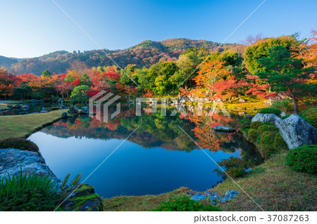 Autumn leaves of Kyoto Tenryu-ji Temple Autumn leaves of Kyoto Tenryu-ji Temple 37087263