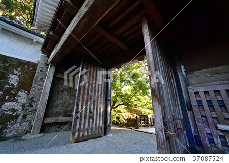 Castle ruins 37087524