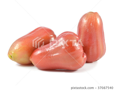 Rose apple on white background 37087540