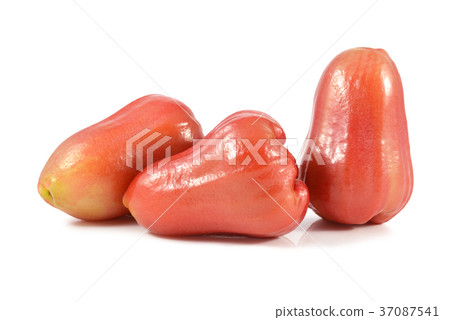 Rose apple on white background 37087541