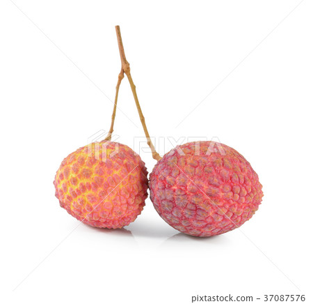 fresh lychees on white background 37087576
