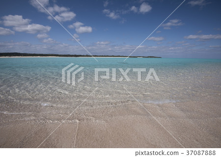 冬天的Yurigahama 冬天的Yurigahama 37087888