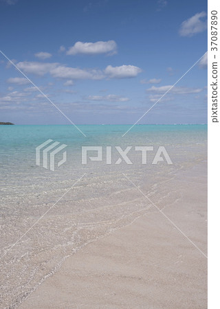 冬天的Yurigahama,垂直版本 冬天的Yurigahama,垂直版本 37087890