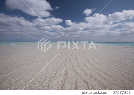 Yurigahama的冬天，砂岩 37087891