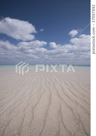 冬天的Yurigahama,沙子印刷品,垂直版本 冬天的Yurigahama,沙子印刷品,垂直版本 37087892