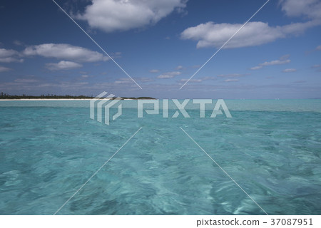 從玻璃船上瞄準 從玻璃船上瞄準 37087951