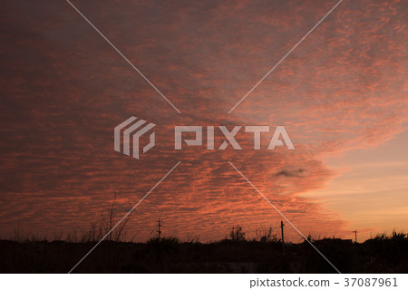 早上烤的yoron 早上烤的yoron 37087961