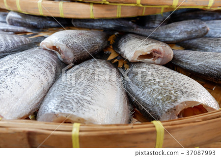 Snakeskin gourami Fish dried in market Snakeskin gourami Fish dried in market 37087993