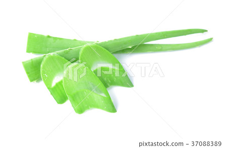 aloe vera fresh leaf 37088389