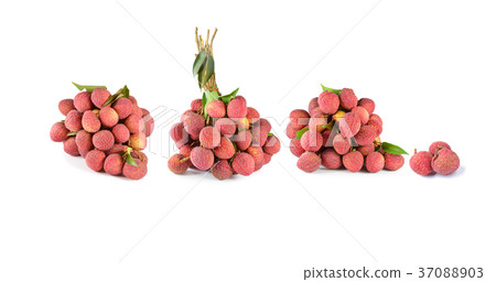 fresh lychees on white background fresh lychees on white background 37088903