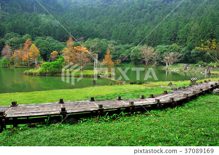 Autumn,forest,bridge,walk,tree,water,lake,autumn,taiwan,yilan,mingchi,mingchi forest play area,fresh,green,natural Autumn,forest,bridge,walk,tree,water,lake,autumn,taiwan,yilan,mingchi,mingchi forest play area,fresh,green,natural 37089169