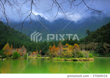 Autumn, forest, mountain, mountain lake, tree, water, lake, autumn, Taiwan, Yilan, Mingchi, Mingchi Forest Recreation Area, fresh Autumn, forest, mountain, mountain lake, tree, water, lake, autumn, Taiwan, Yilan, Mingchi, Mingchi Forest Recreation Area, fresh 37089416