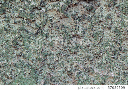 Weathered wall texture 37089509
