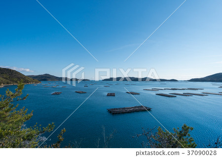 景觀與瀨戶內海的養殖牡蠣 37090028