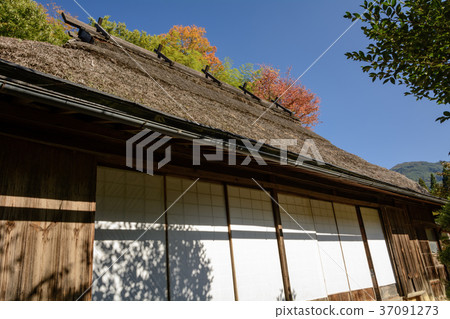 Autumn chestnut roof Autumn chestnut roof 37091273
