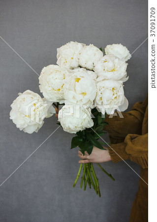beautiful bouquet of lush peonies in woman hands beautiful bouquet of lush peonies in woman hands 37091709