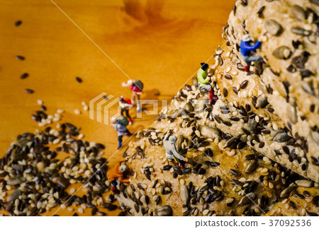 climbers climbers 37092536