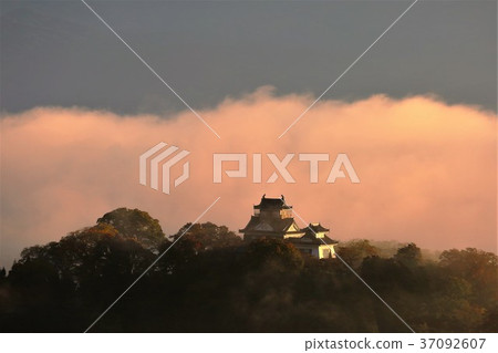 Echizen Ono Castle 37092607