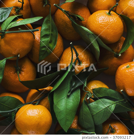 Fresh tangerines with leaves background Fresh tangerines with leaves background 37093217