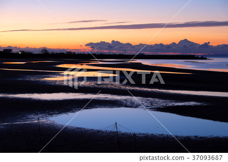 新Maikohama早上燒 37093687