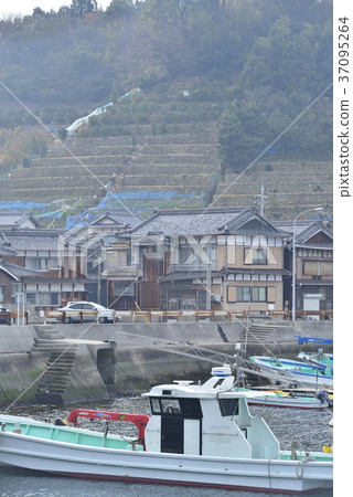 [Kure City, Hiroshima Prefecture] Villages and terraced fields in Kashima 37095264
