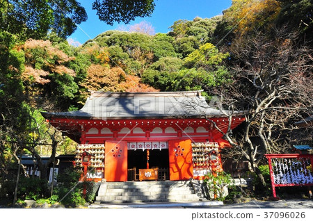 鎌倉酒井天神神社和秋葉 37096026