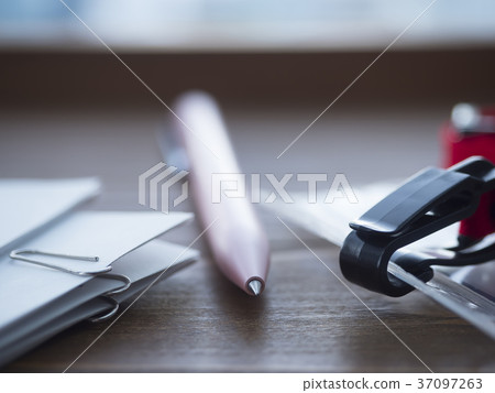 Business image · document · ID card · female 37097263