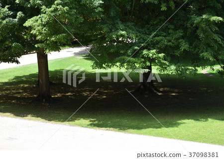 海德堡城堡 37098381