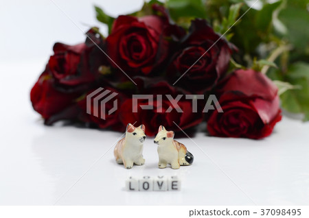 Valentine's Day Concept, Red rose on background. 37098495