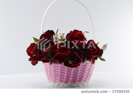 Valentine's Day Concept, Red rose on background. 37098595