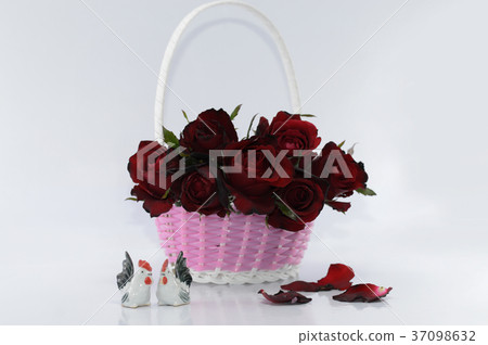 Valentine's Day Concept, Red rose on background. 37098632