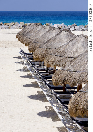 墨西哥女人島 墨西哥女人島 37100369