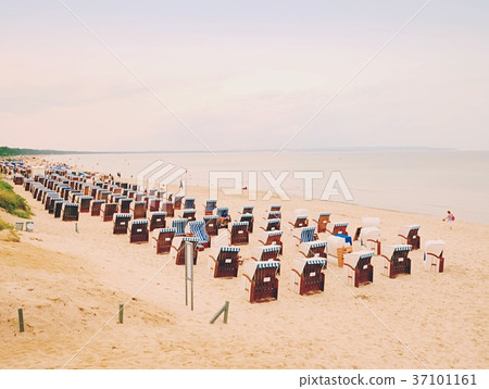 Typical beach basket chairs on sandy beach. Typical beach basket chairs on sandy beach. 37101161