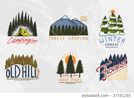 coniferous forest, mountains and wooden logo coniferous forest, mountains and wooden logo 37101285