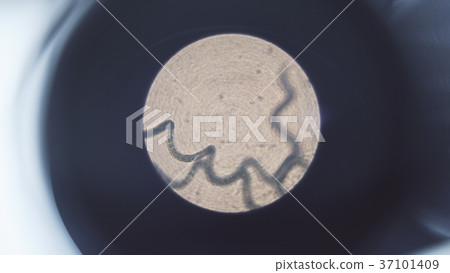 Close up of a structure being analyzed and watched Close up of a structure being analyzed and watched 37101409