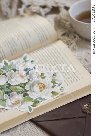 Garden roses flower painted with watercolor Garden roses flower painted with watercolor 37101835