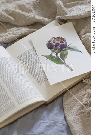 Exotic flower painted with watercolor, paintbrush Exotic flower painted with watercolor, paintbrush 37101844