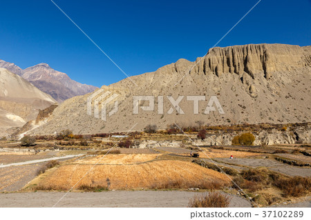 View on Kagbeni village. 37102289